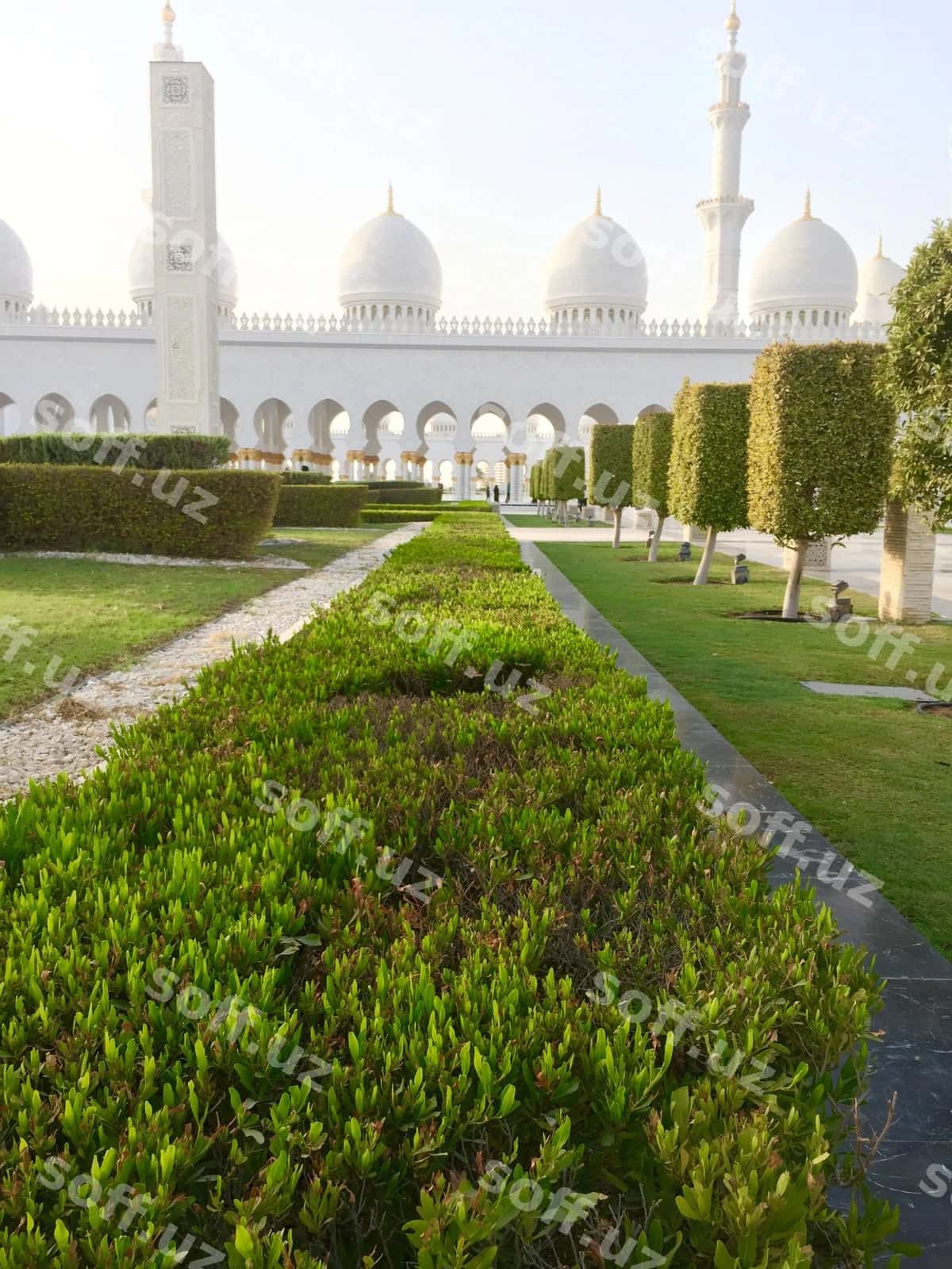 Sheikh Zayed Masjidi Bezatilgan Bog | Ornamental garden sheikh zayed mosque 1