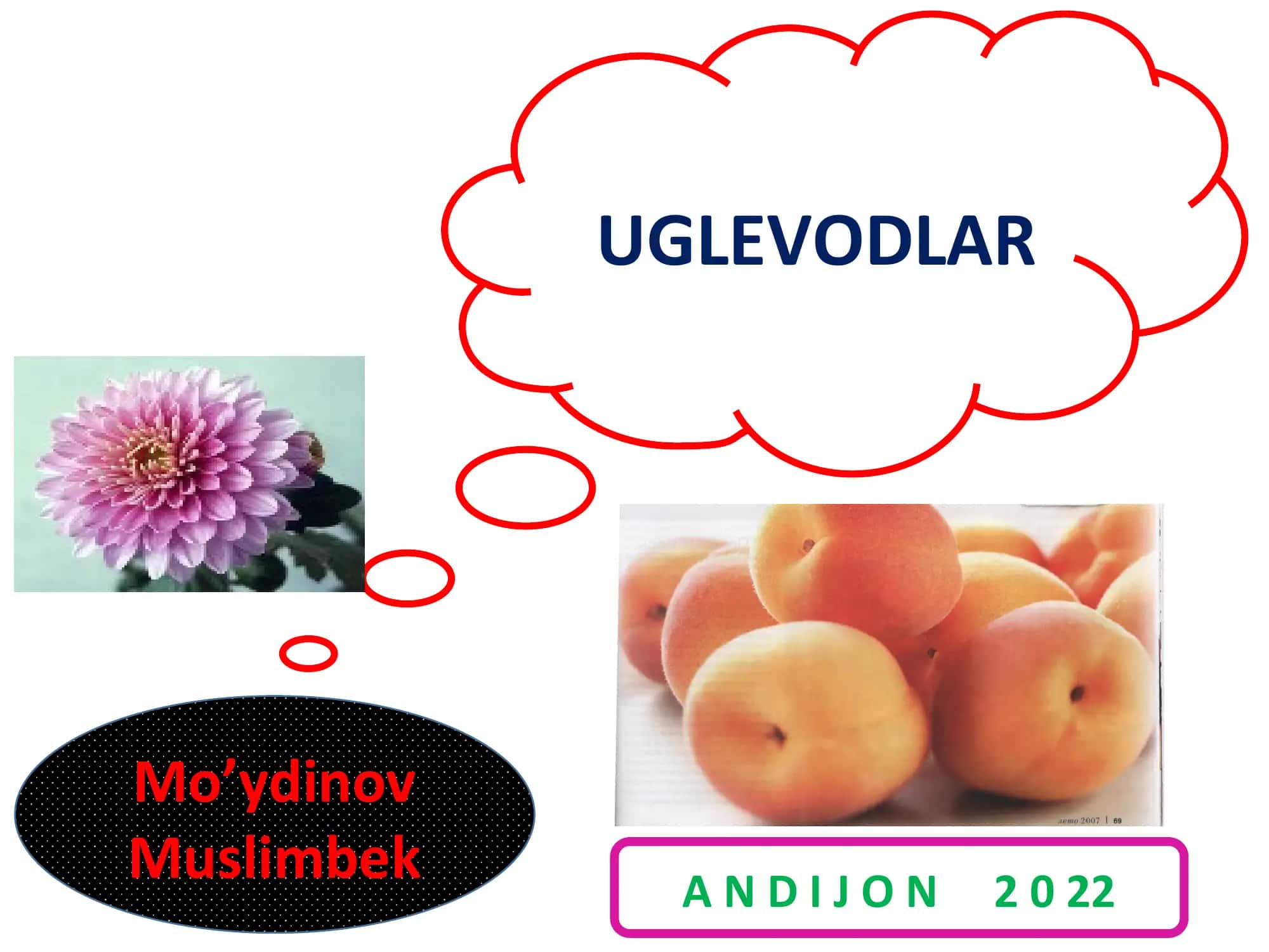 Uglevodlar 1
