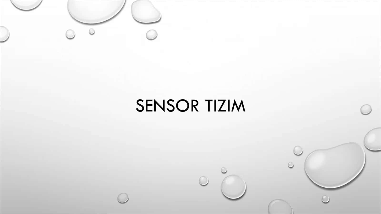 Sensor tizim 1