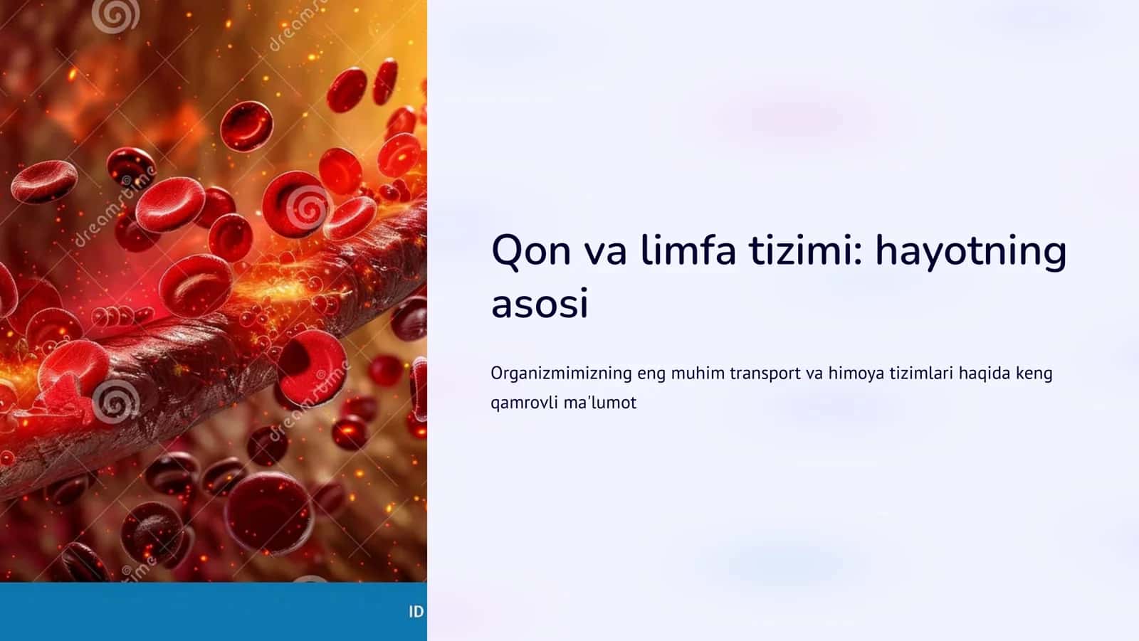 Qon va limfа 1