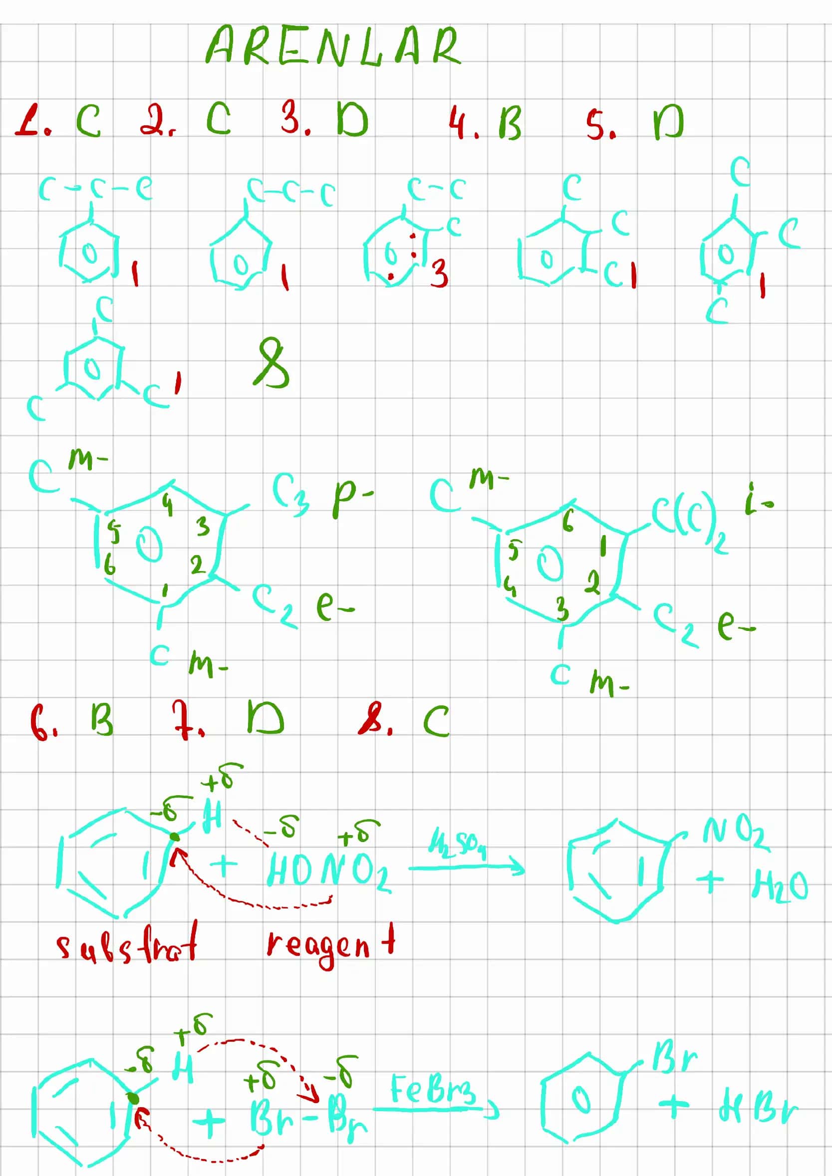 ARENLAR 1