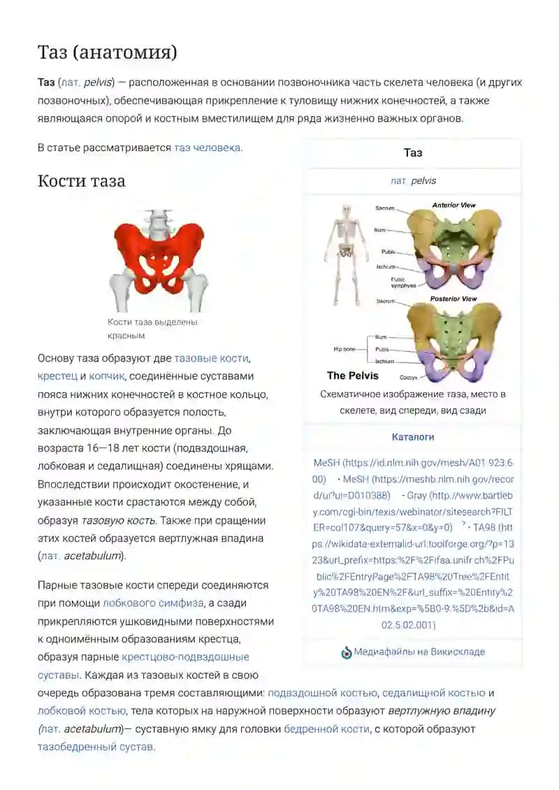 Таз (анатомия)