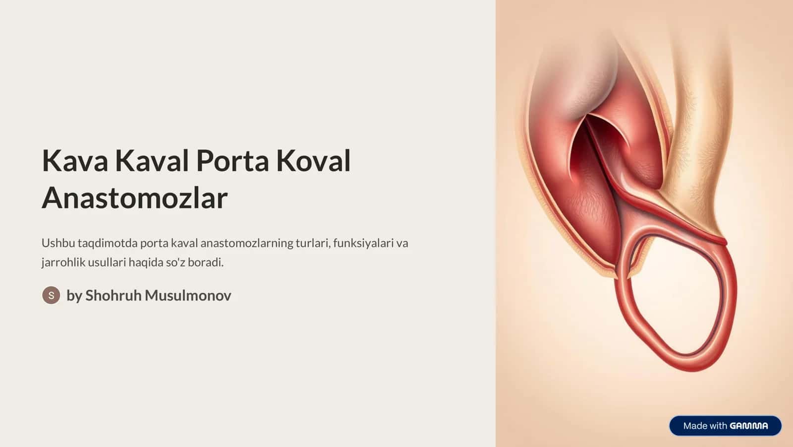 Kava Kaval Porta Koval Anastomozlar 1