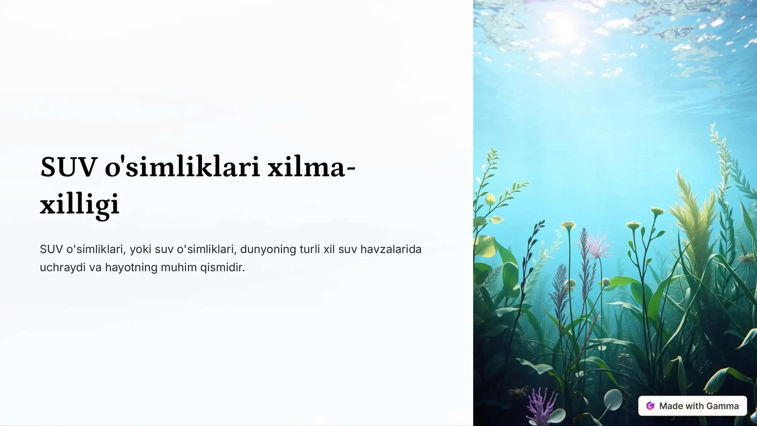 SUV o'simliklari 1