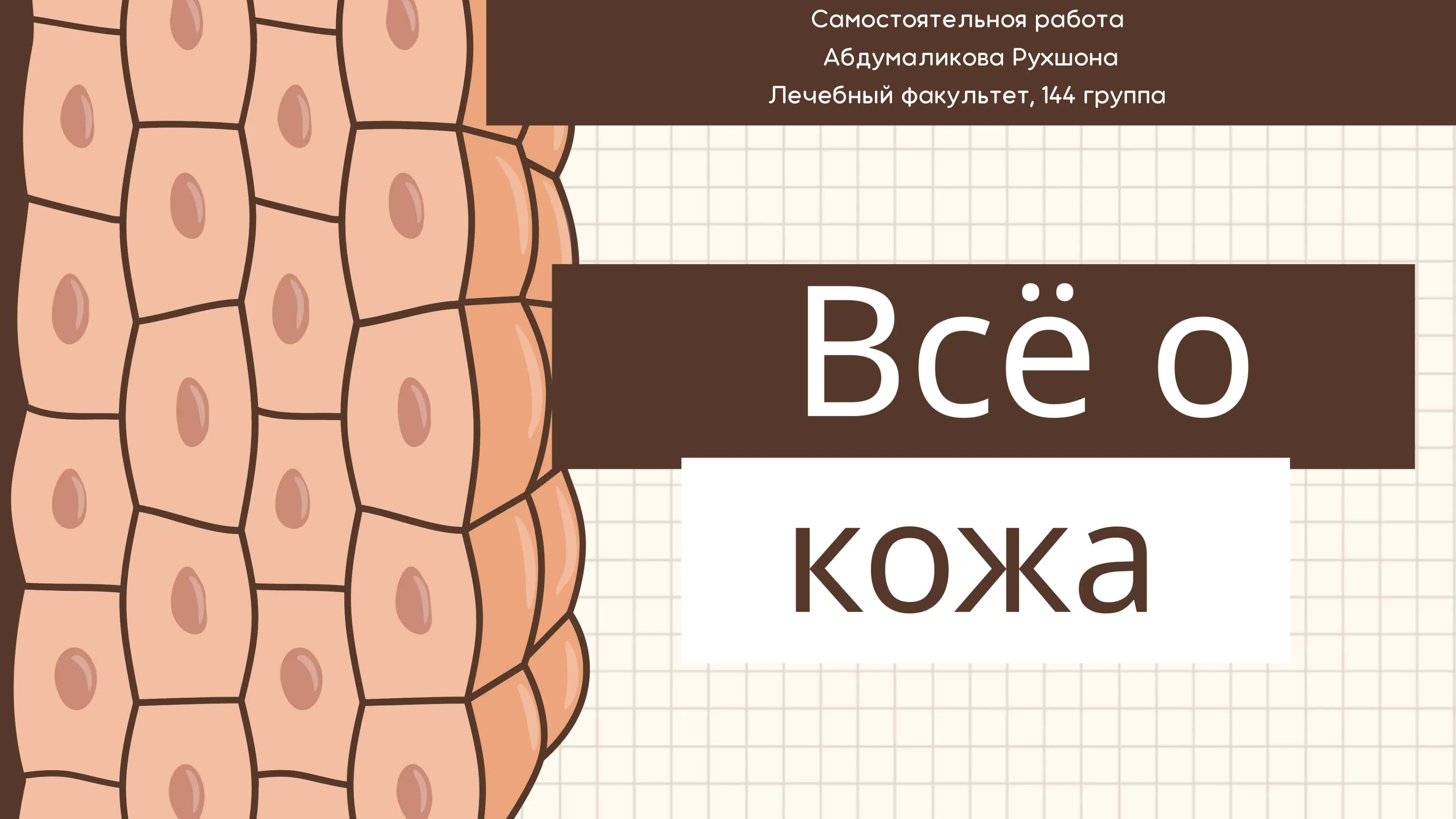 Вся информация о коже 📖🔬 1