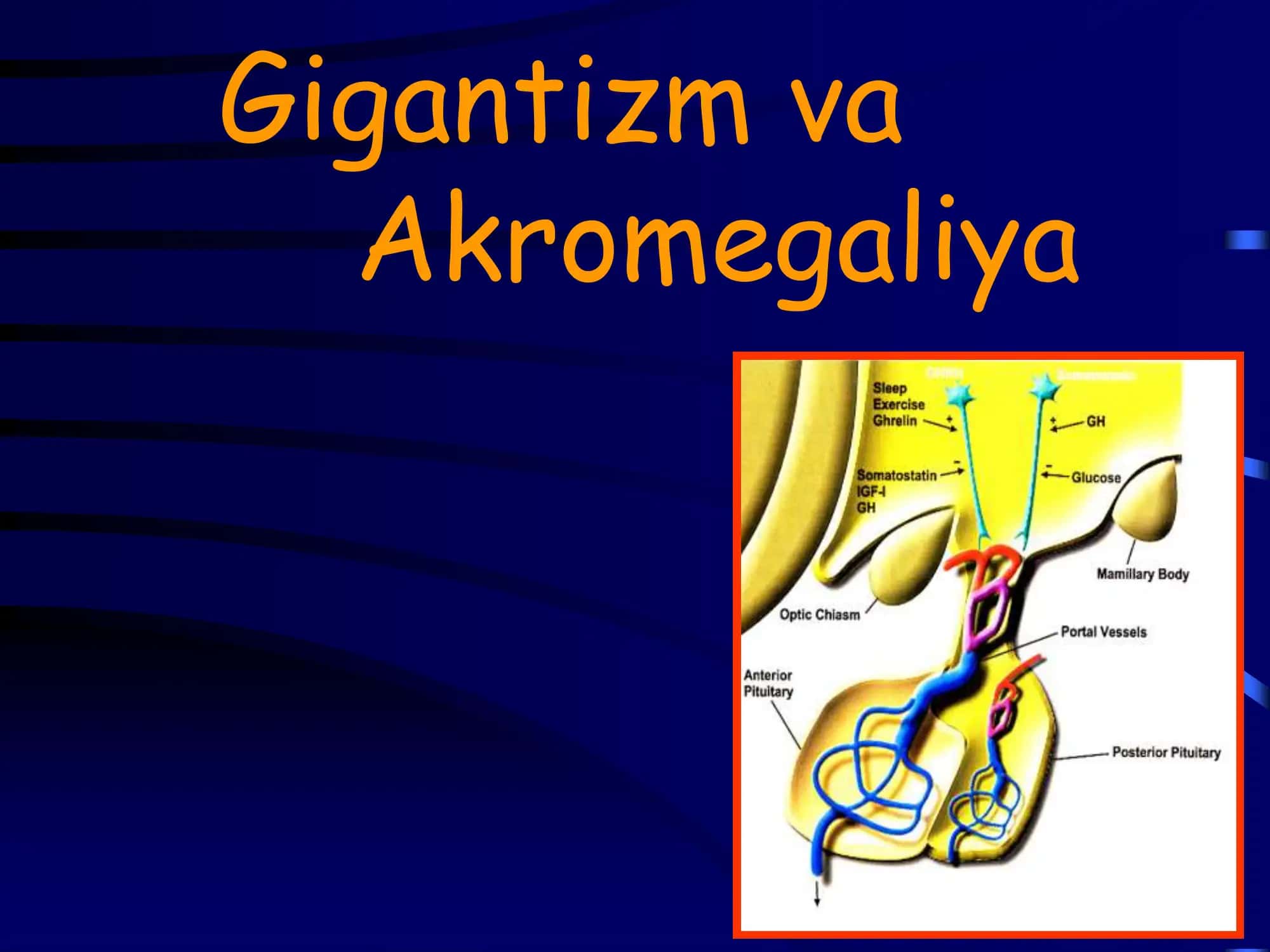 Gigantizm va Akromegaliya 1