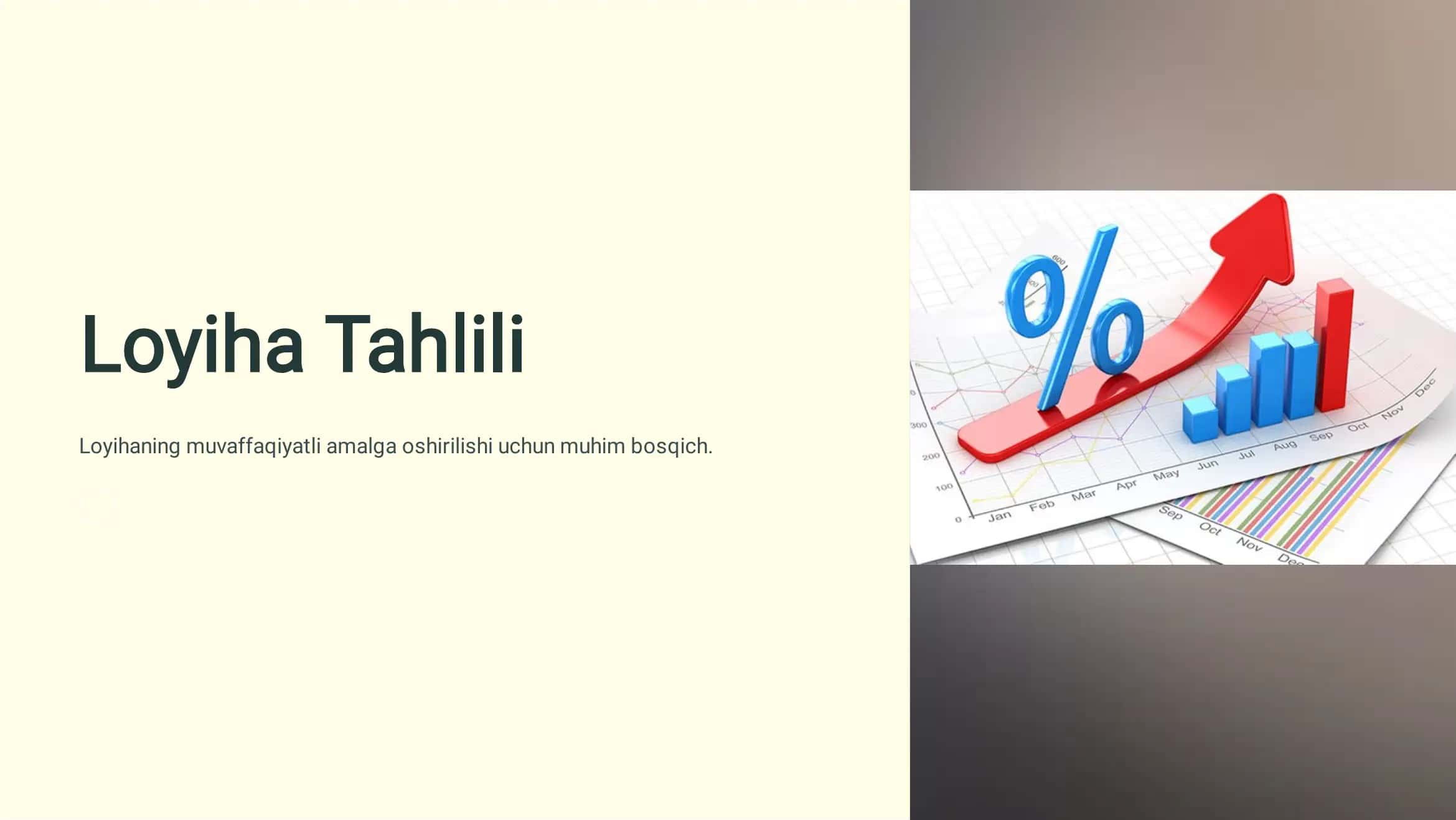Loyiha Tahlili 1