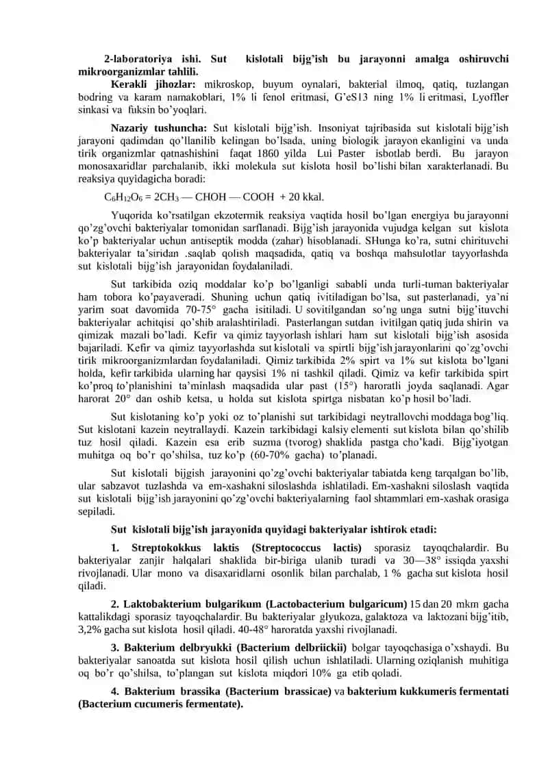 Sut kislotali bijg’ish bu jarayonni amalga oshiruvchi 
mikroorganizmlar tahlili.