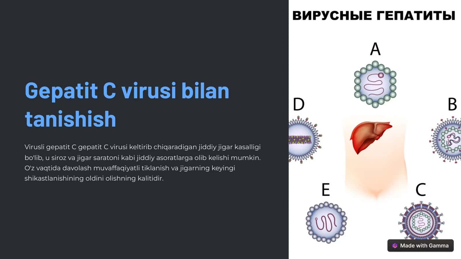 Gepatit C virusi bilan tanishish 1
