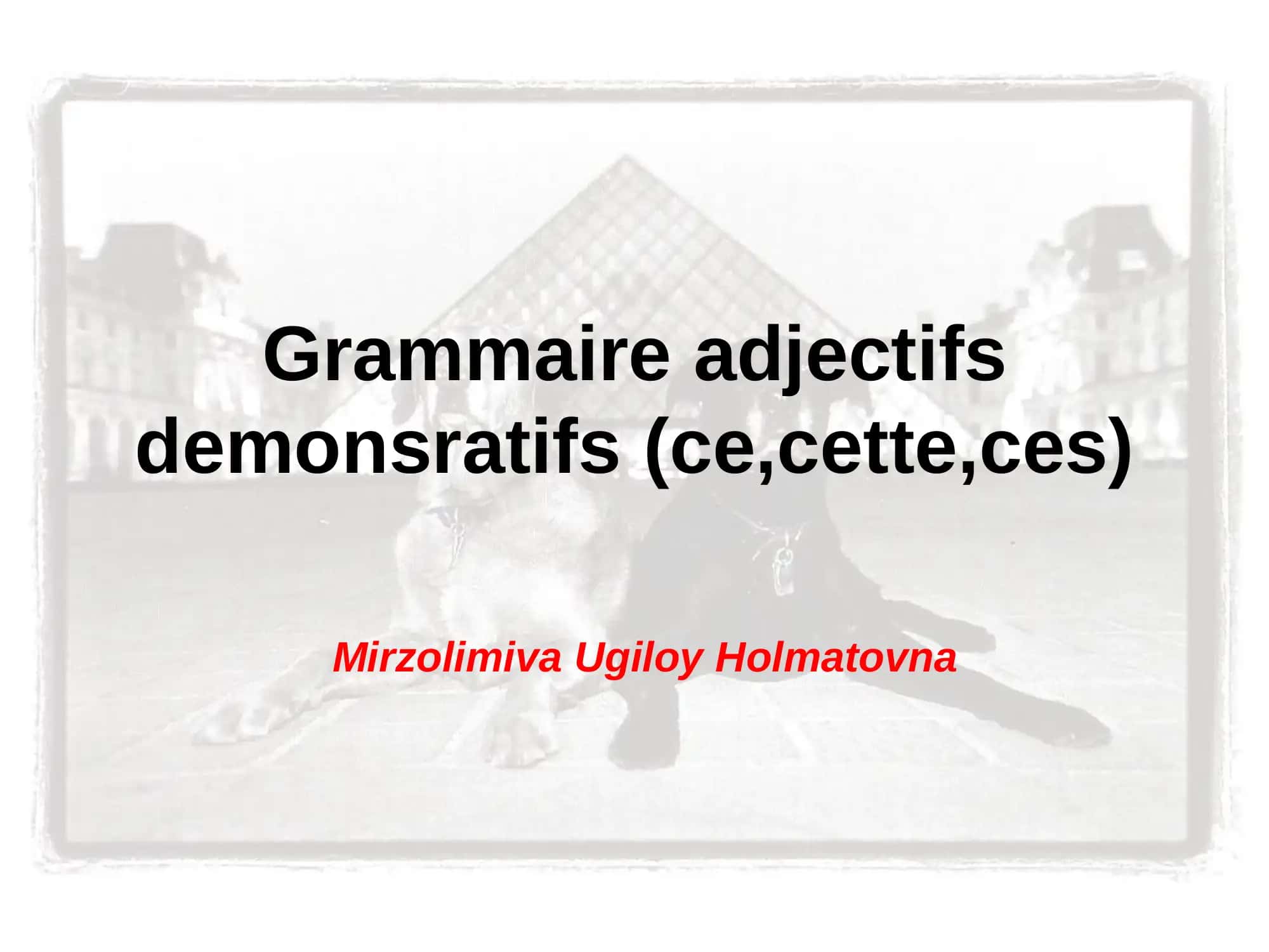 Grammaire adjectifs demonsratifs (ce,cette,ces) 1