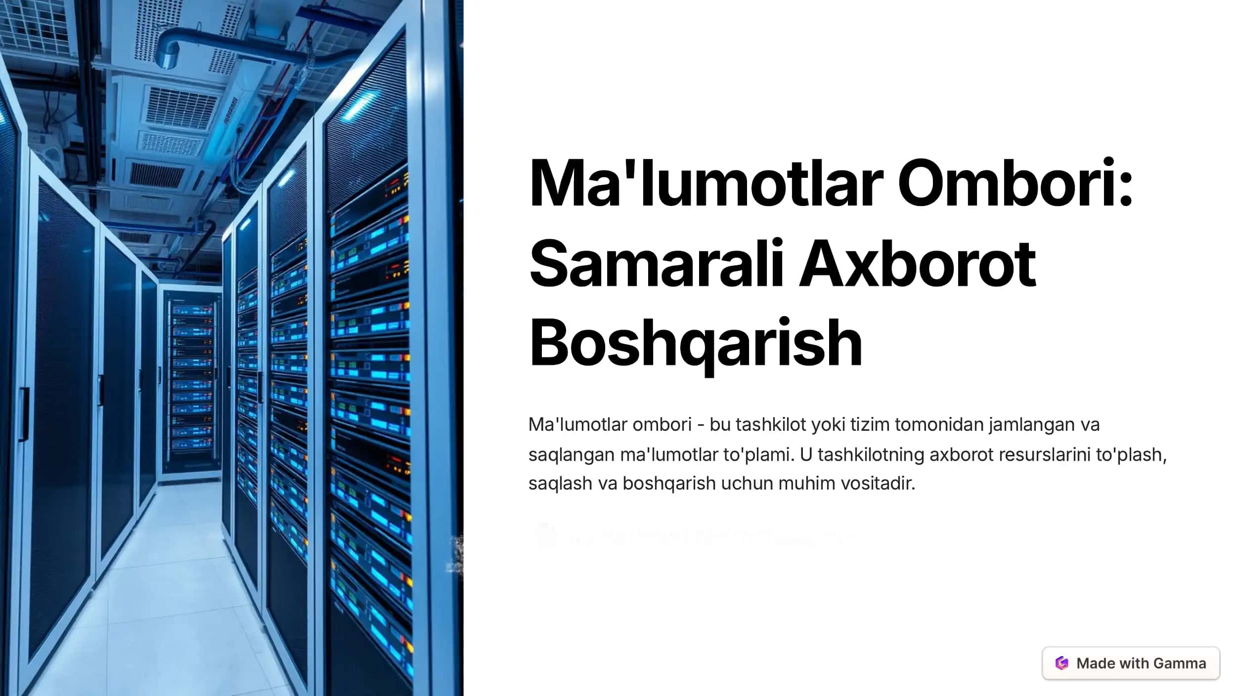 Ma'lumotlar Ombori 1