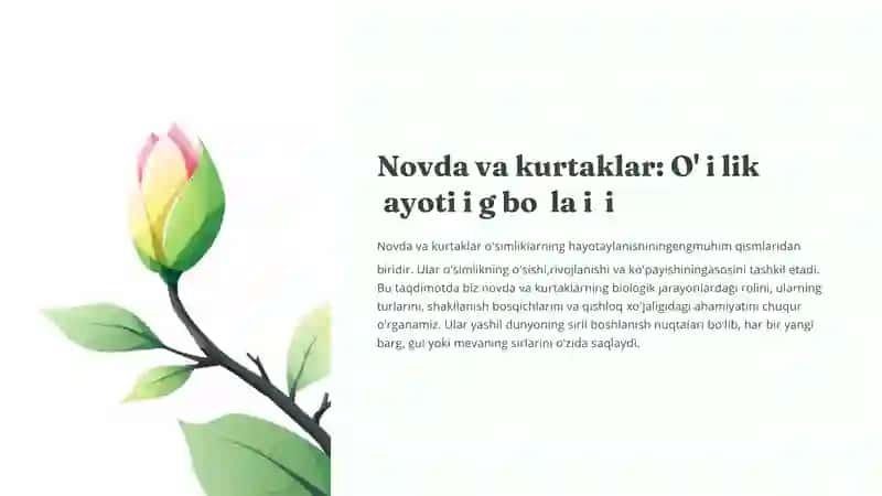 Novda va kurtaklar