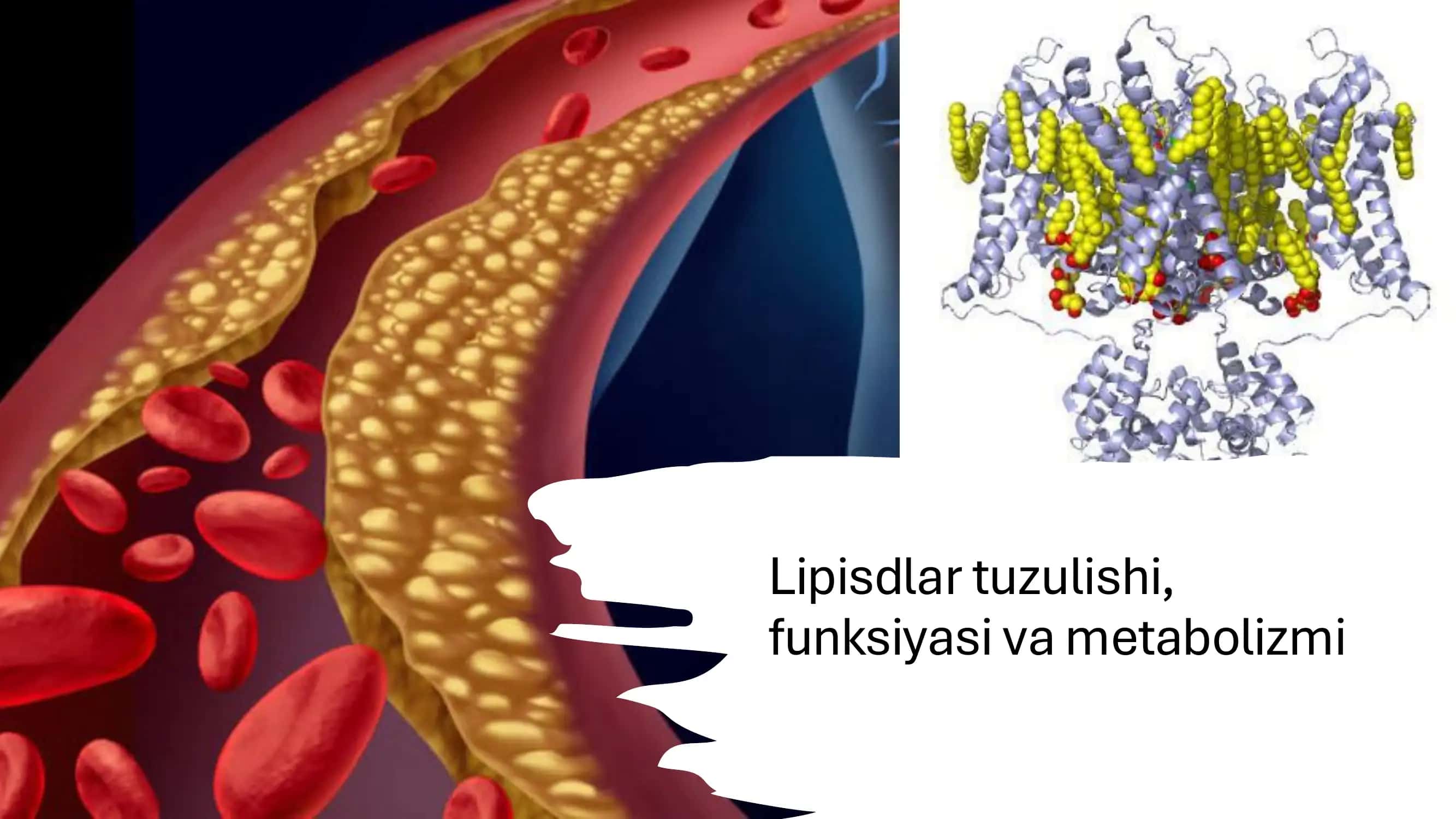 8 mavzu surunkali gepatit 1