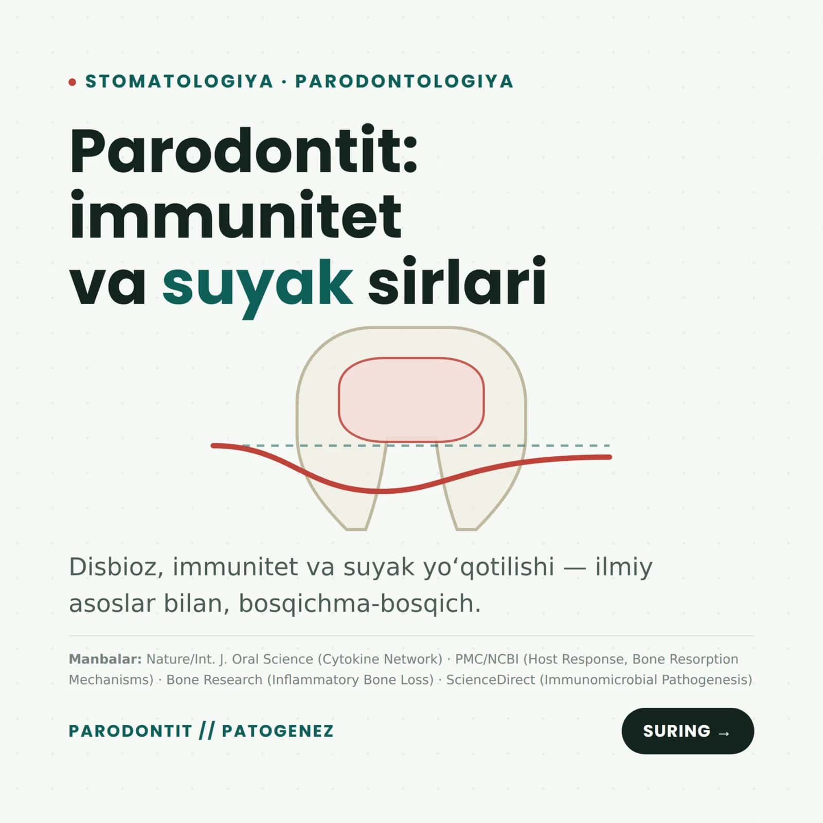 Parodontit nima va uning patalogiyasi 1