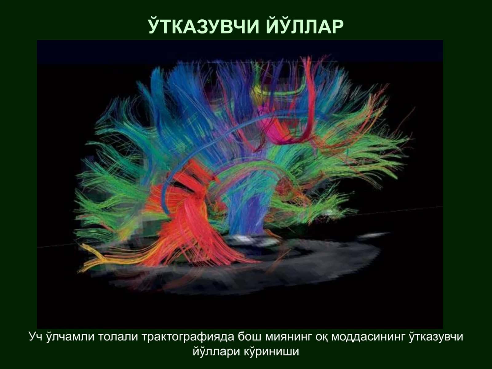 Ўтказувчи йўллар 1
