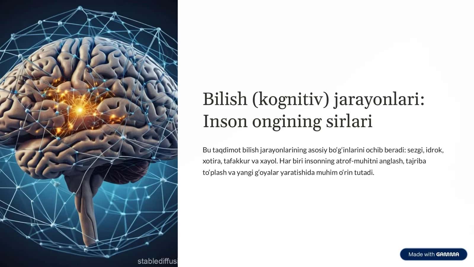 Bilish (kognitiv) jarayonlari 1