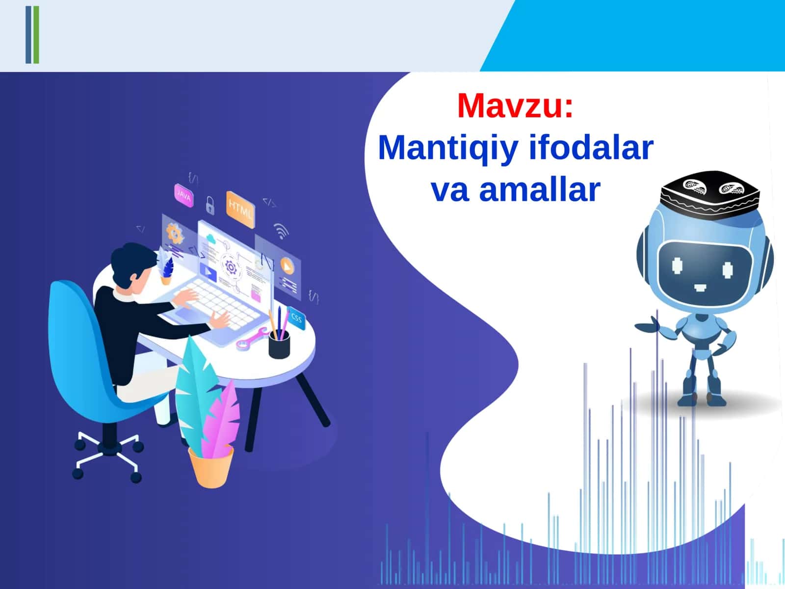 Mantiqiy ifodalar  va amallar. 1