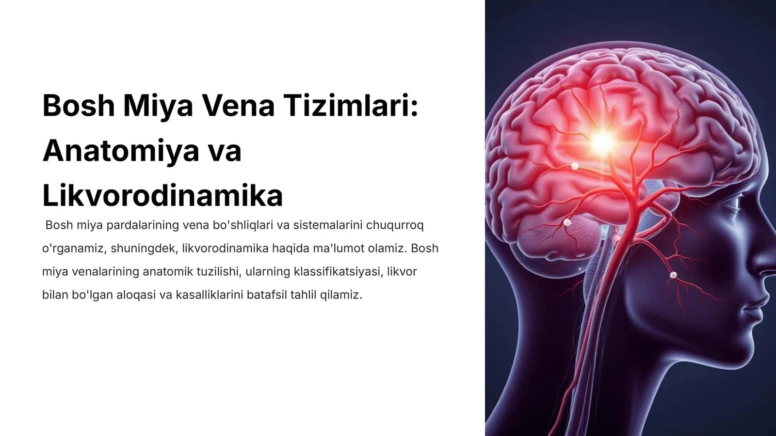 Bosh Miya Vena Tizimlari 1