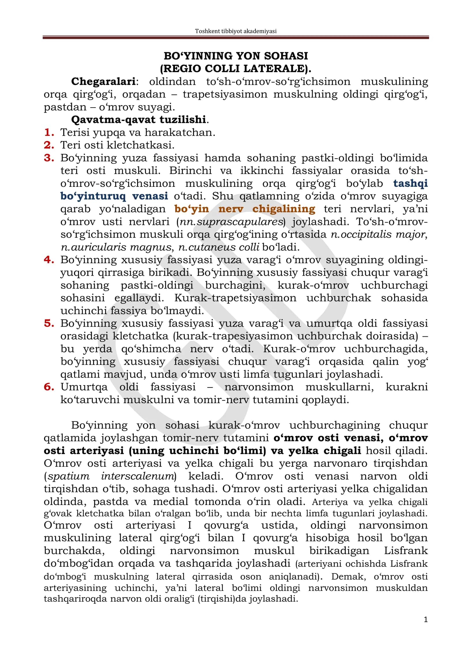 BO‘YINNING YON SOHASI (REGIO COLLI LATERALE) 1