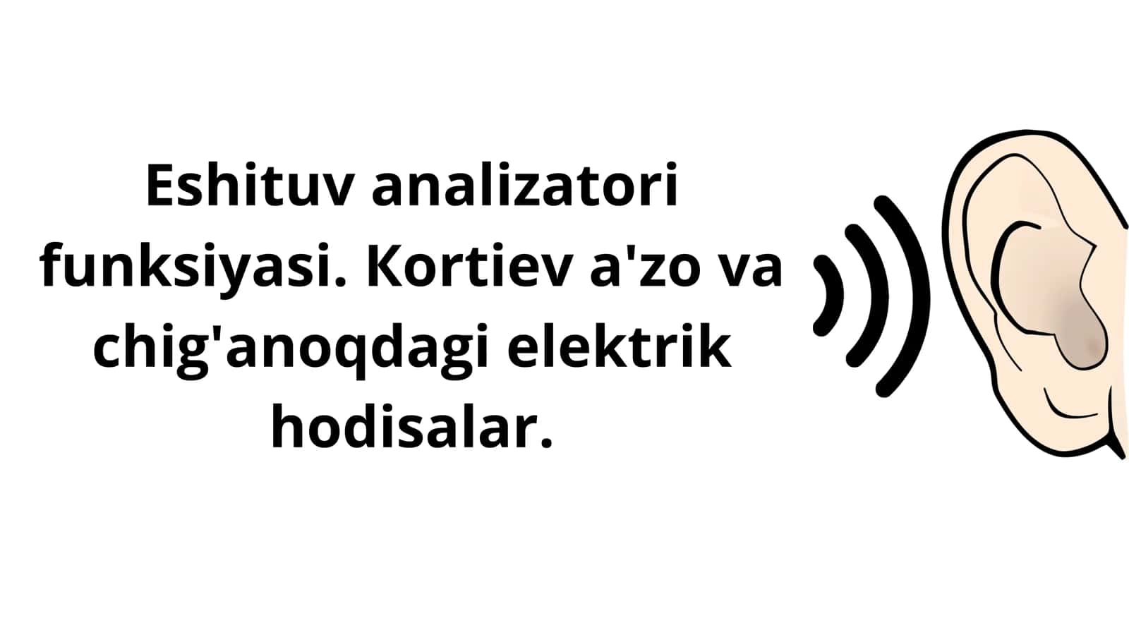 Eshituv analizatori 1