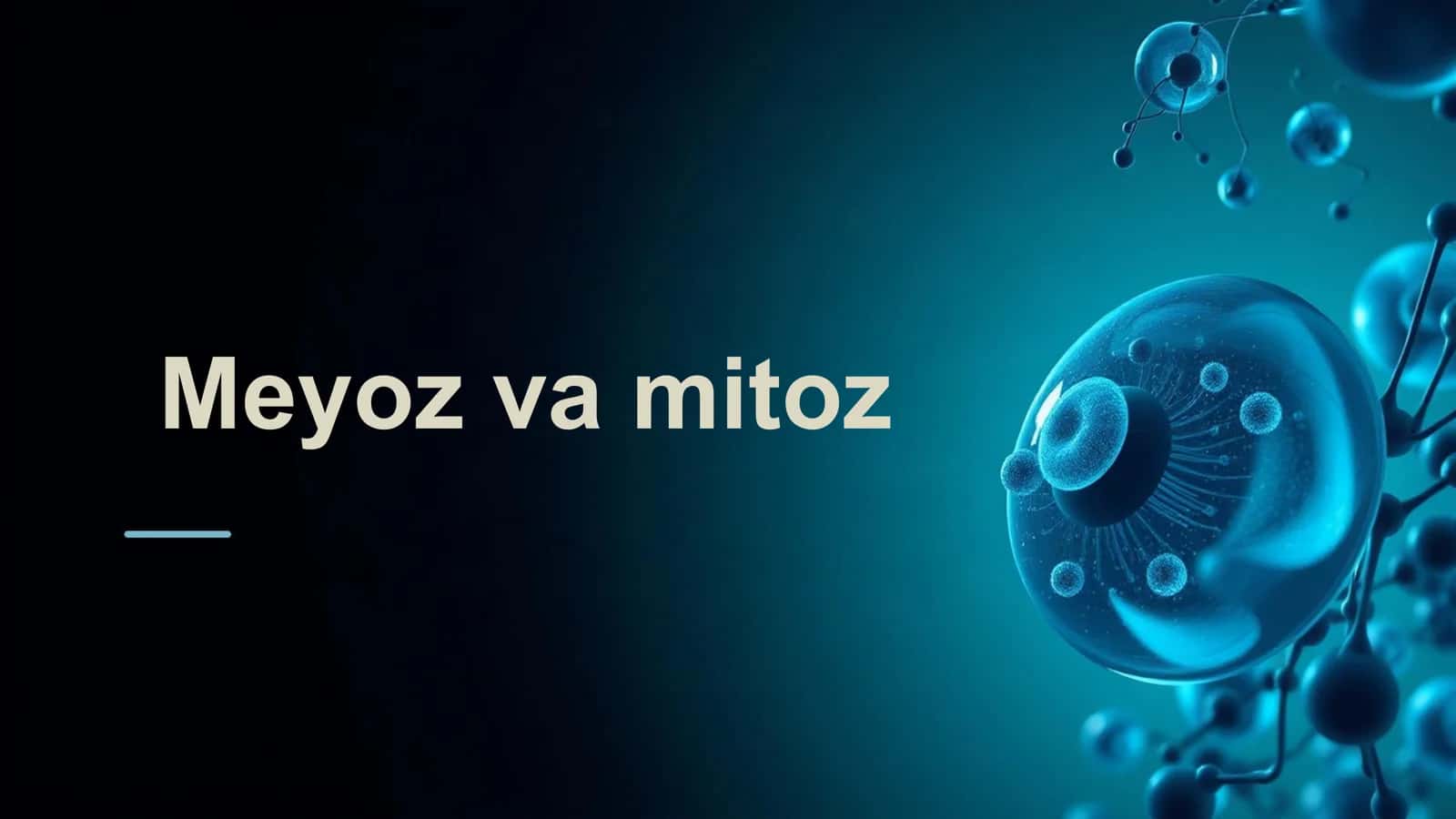 Meyoz va mitoz 1