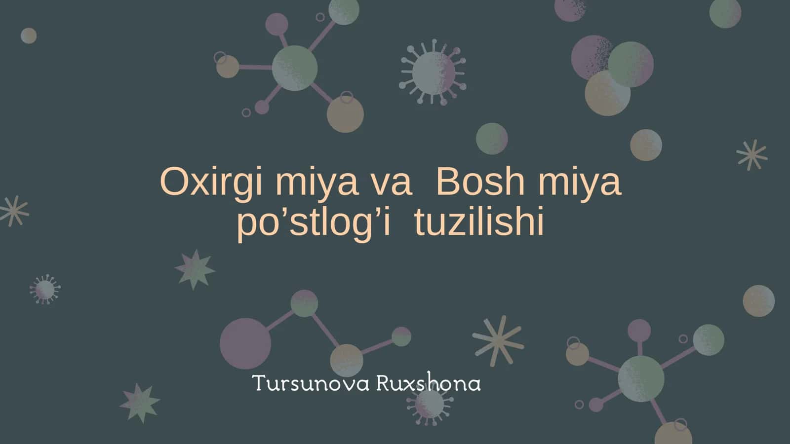 Oxirgi miya va Bosh miya 1