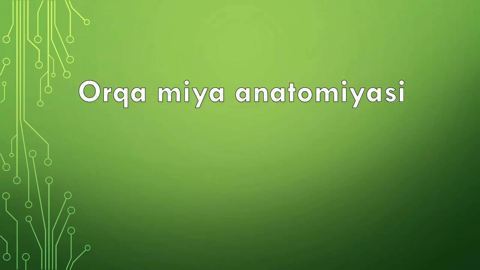 Orqa miya anatomiyasi 1