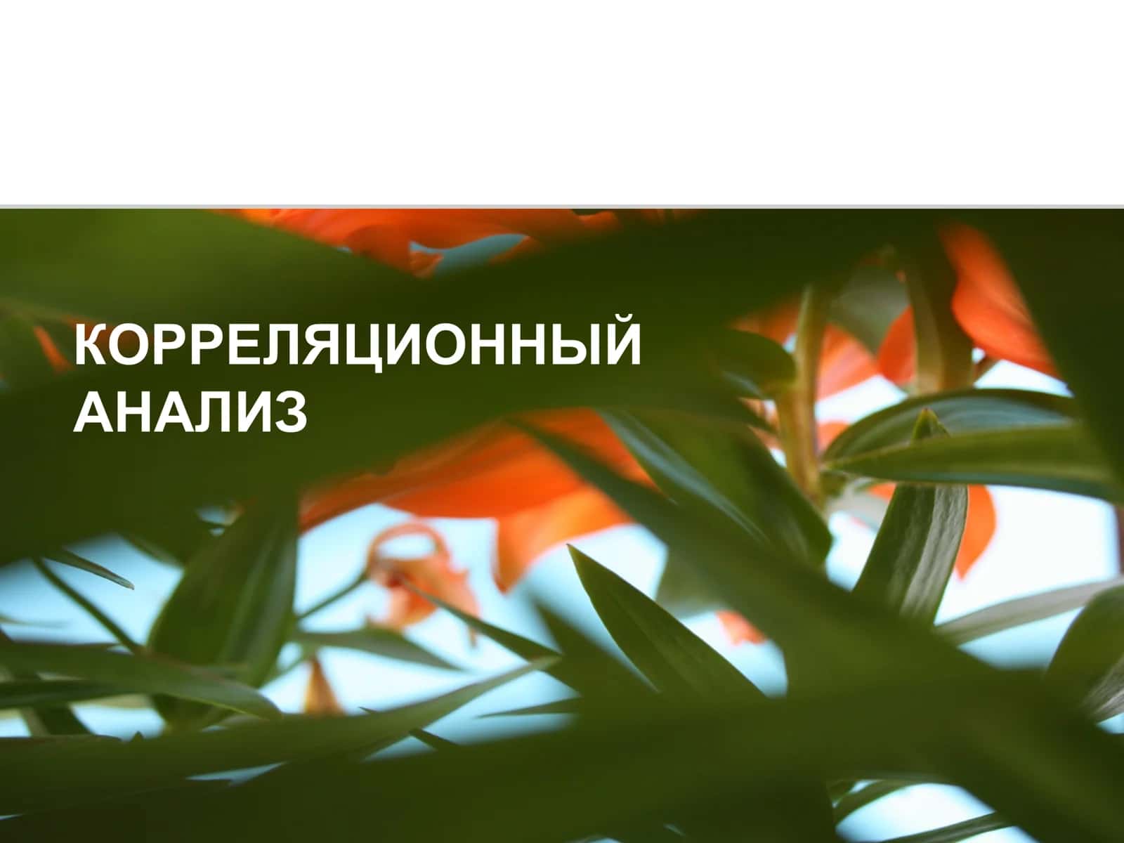 КОРРЕЛЯЦИОННЫЙ  АНАЛИЗ 1