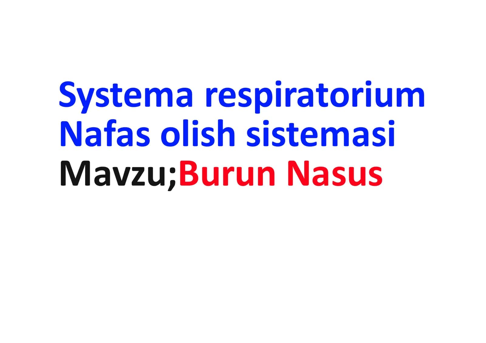 Nfas olish sistemasi, Burun, nasum. 1