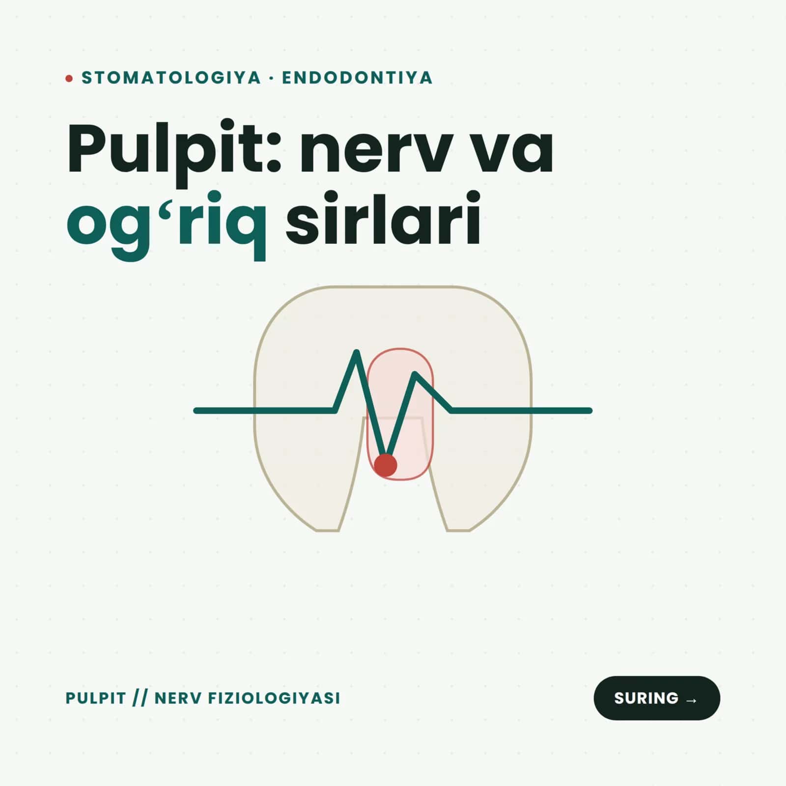 Pulpit nima va uning rivojlanishi, patalogiyasi. 1