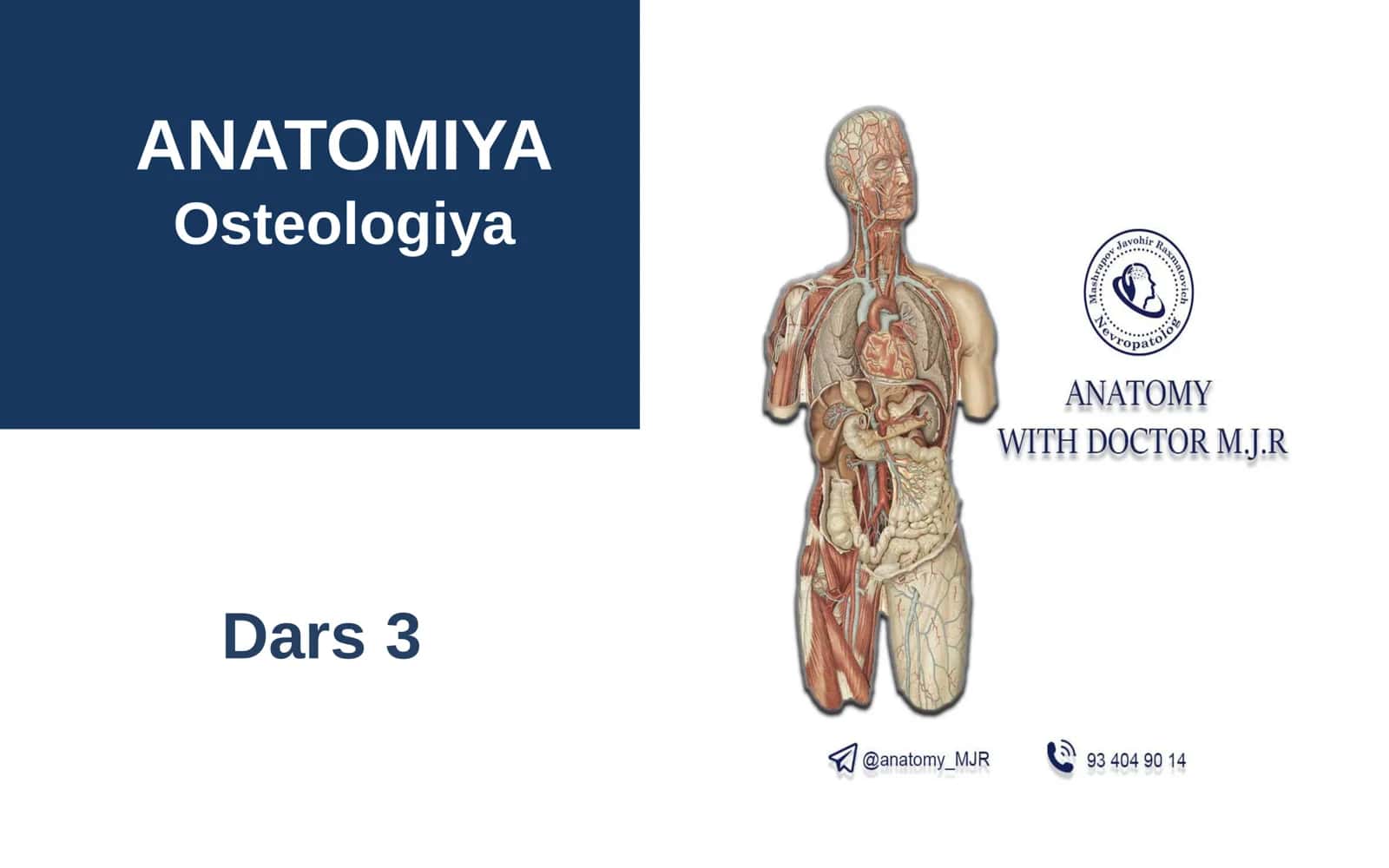 Osteologiya Dars 3 1
