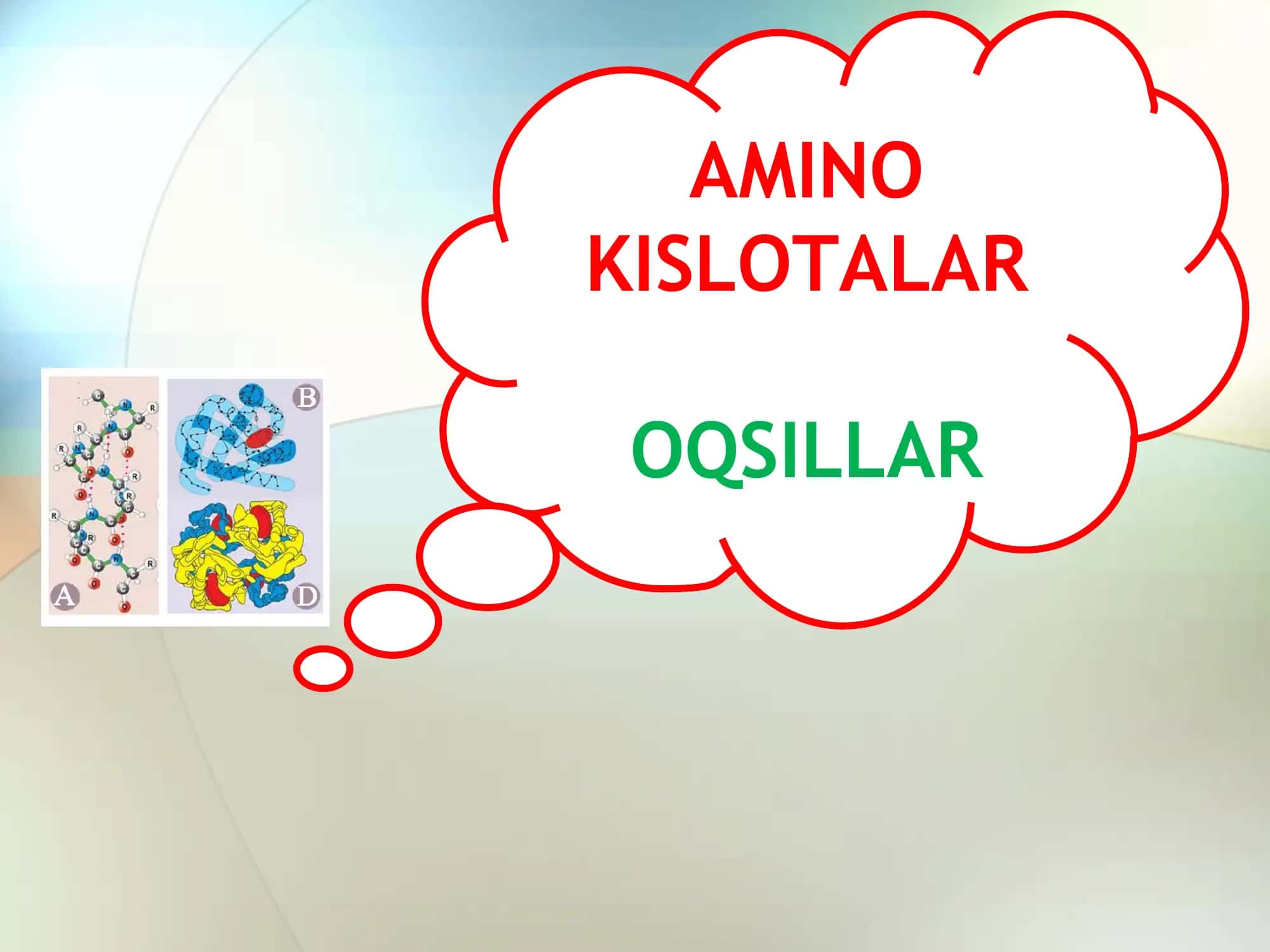 AMINO KISLOTALAR VA OQSILLAR 1