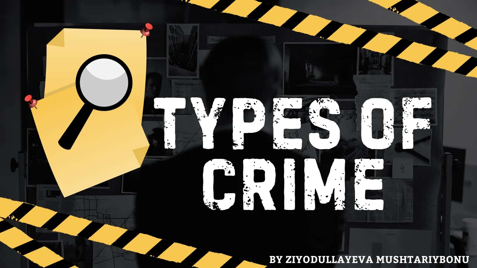 Types of Crime 1
