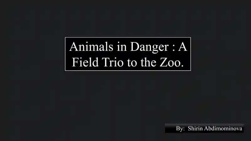 Animals in Danger: A Field Trip to the Zoo