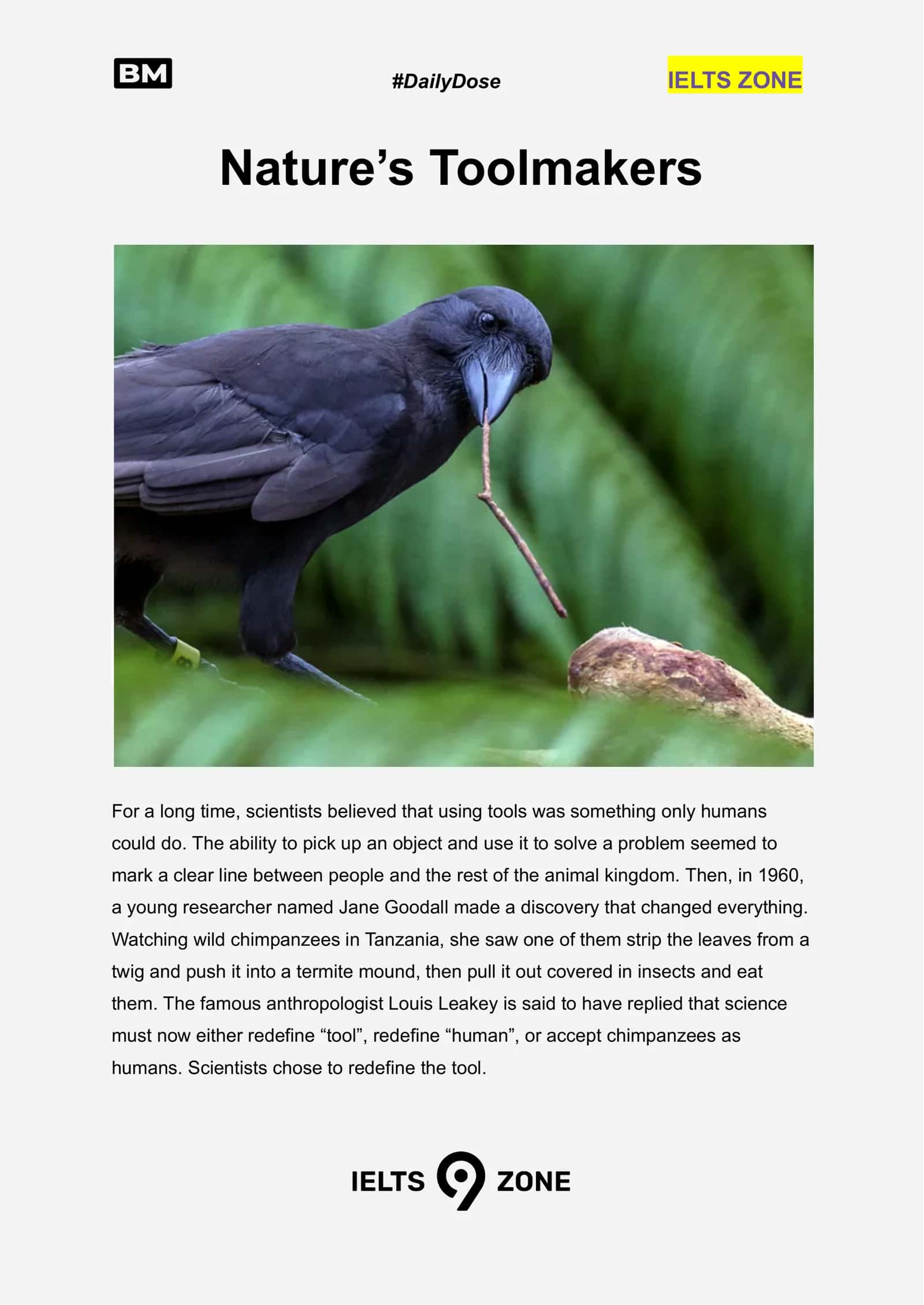 Nature’s Toolmakers 1