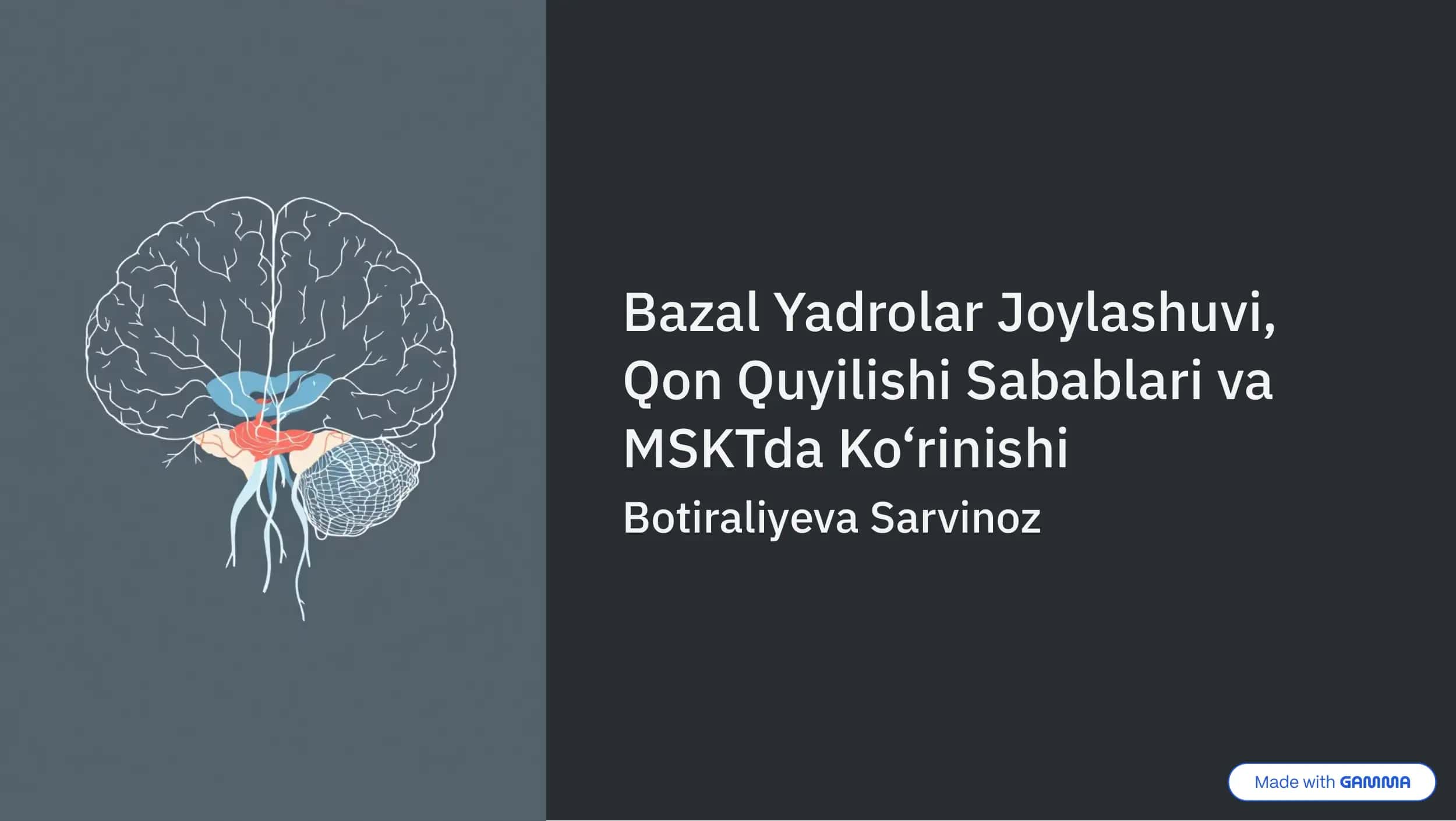 Bazal Yadrolar Joylashuvi 1
