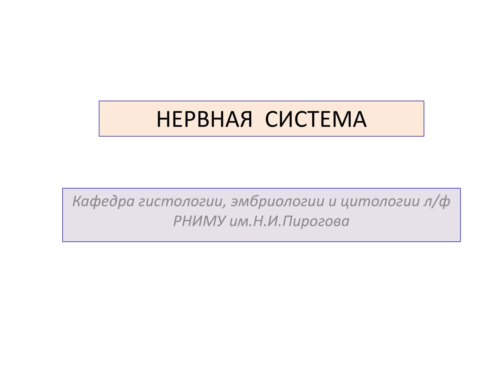 НЕРВНАЯ СИСТЕМА 1