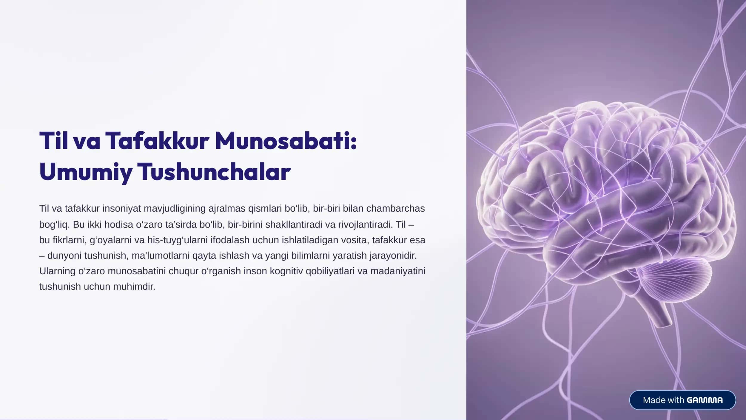 Til va Tafakkur Munosabati 1