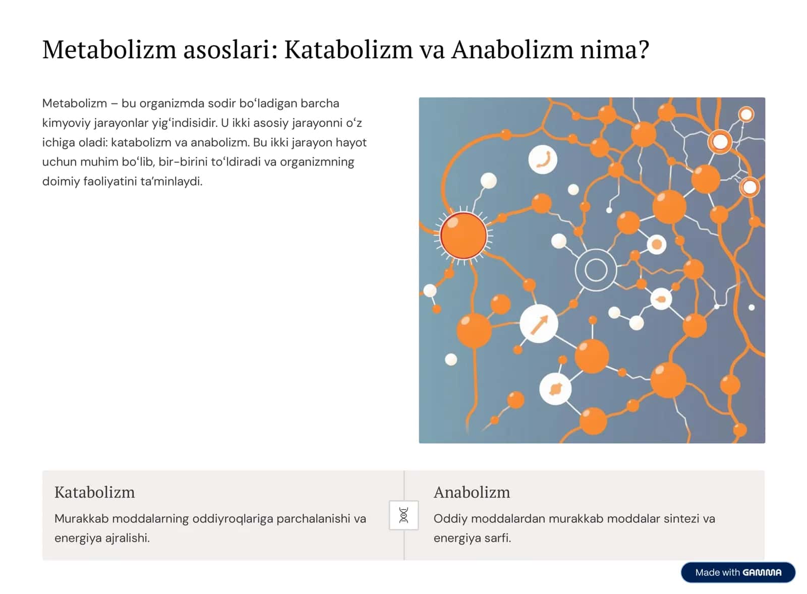 Katabolizm va Anabolizm: Normal va Patologik Holatlardagi O»zgarishlari 2