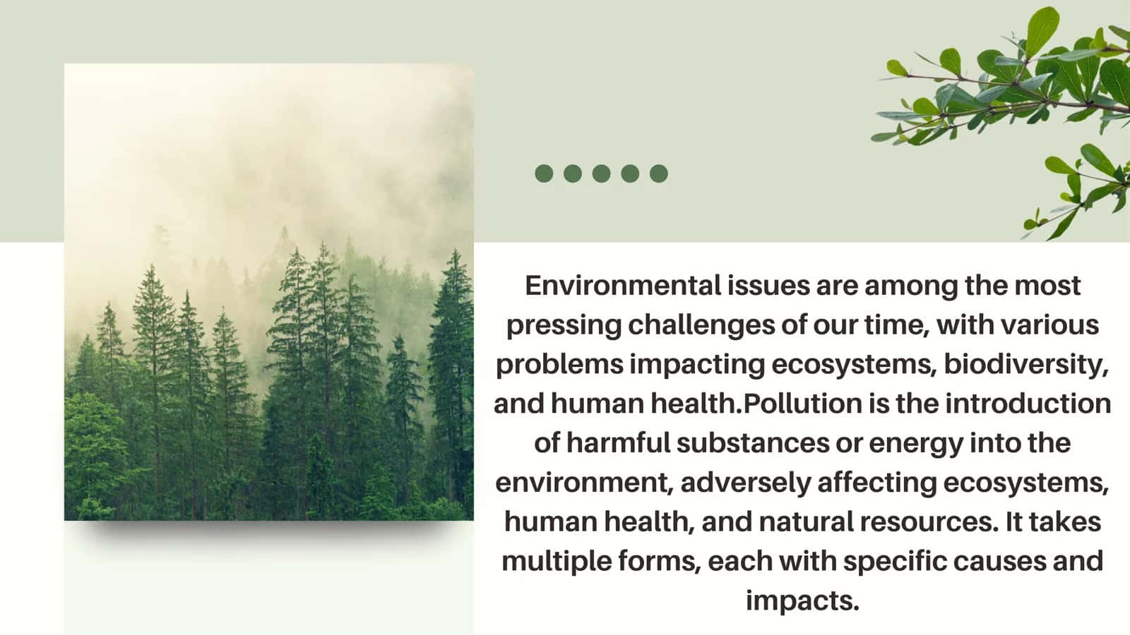 ENVIRONMENT:ENVIRONMENTAL PROBLEMS 2
