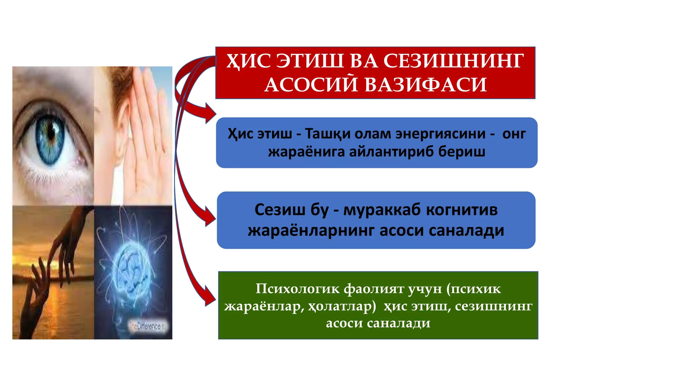 СЕНСОР ДЕПРИВАЦИЯ 2