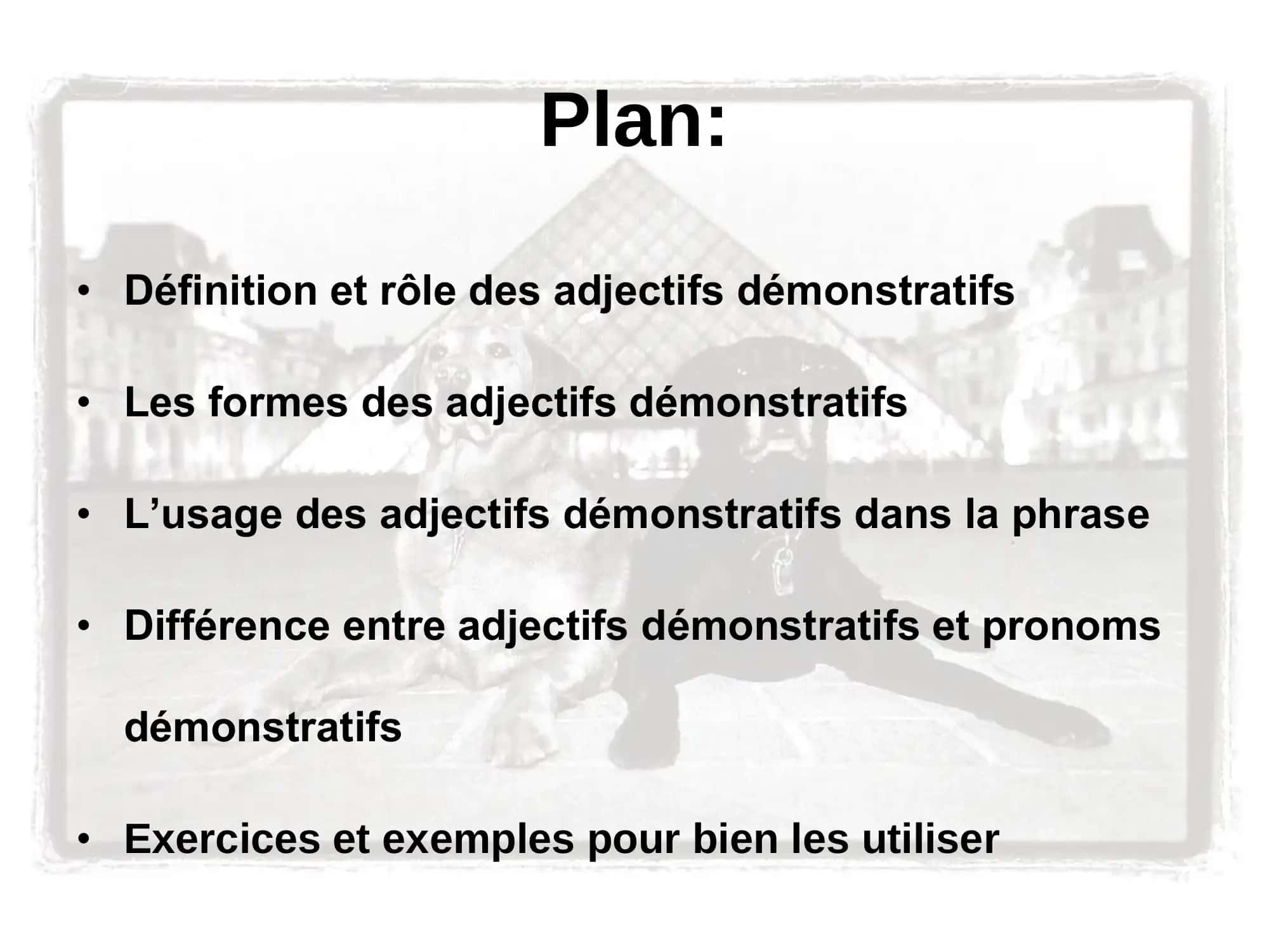 Grammaire adjectifs demonsratifs (ce,cette,ces) 2