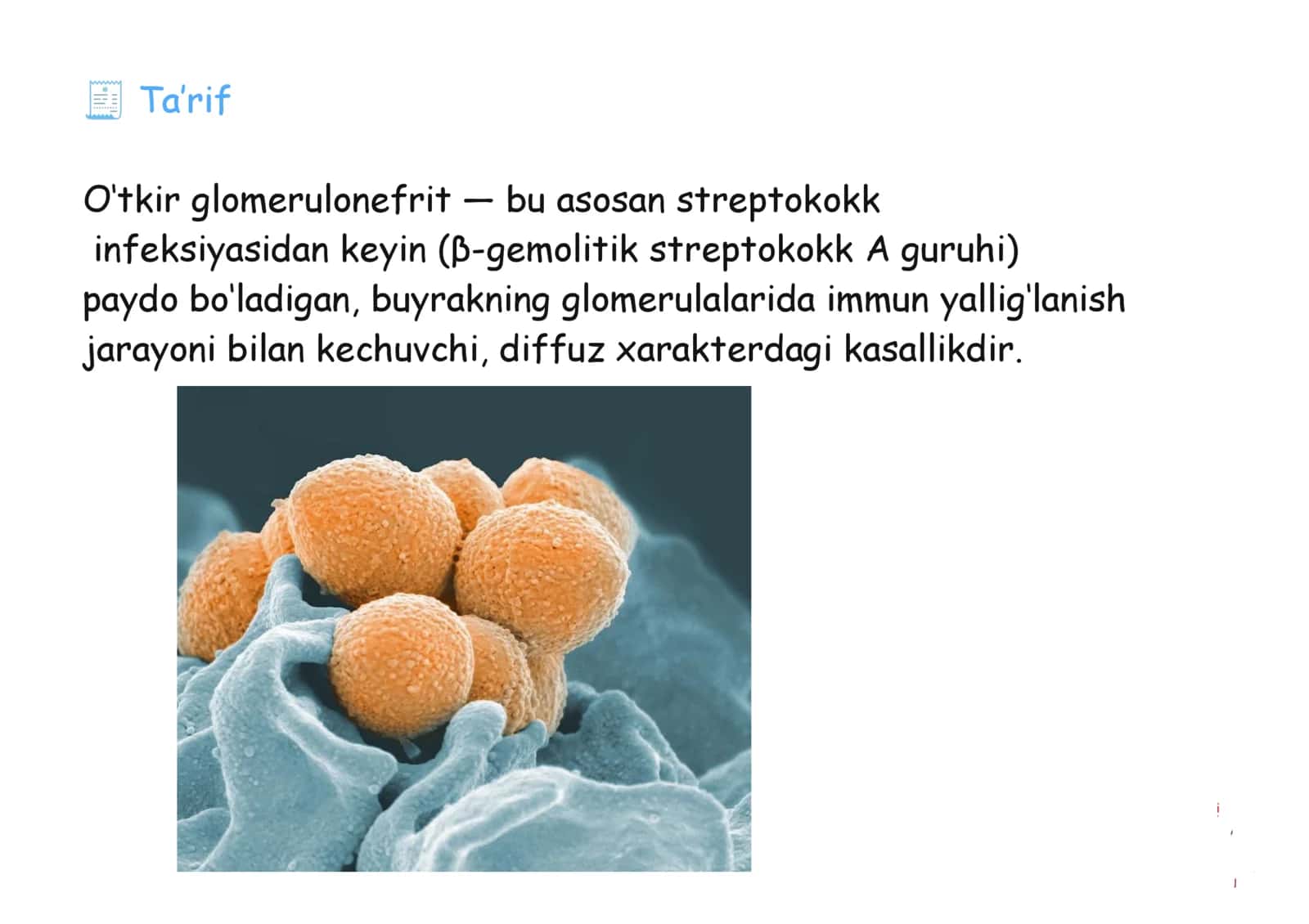 Glomerulonefrit toliq 25 list ppt 2