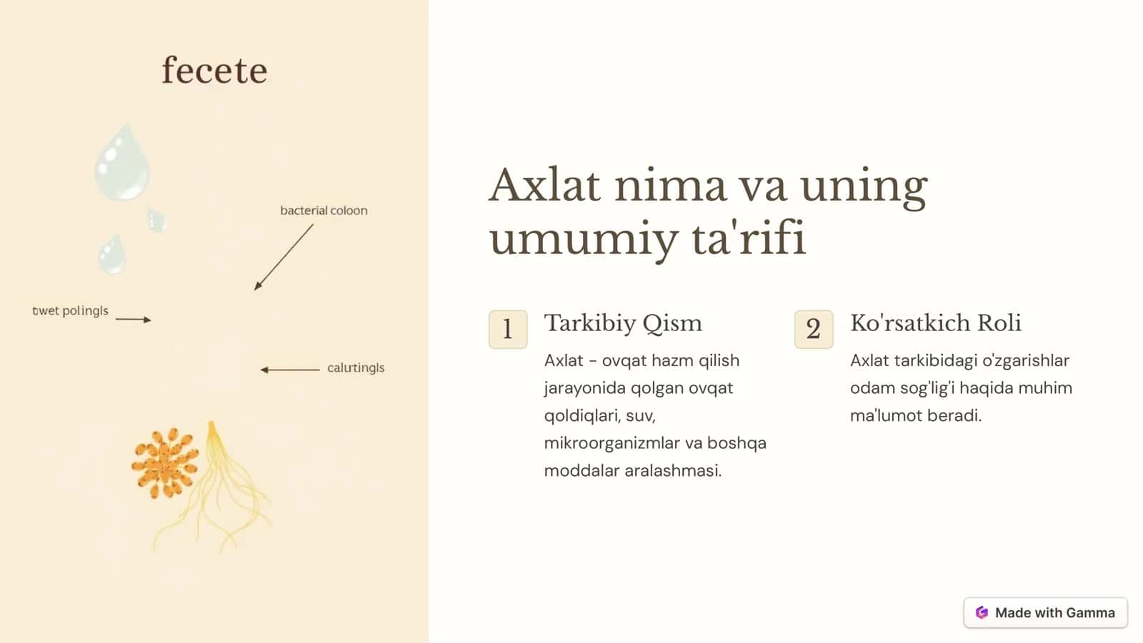 Umumiy axlat 2
