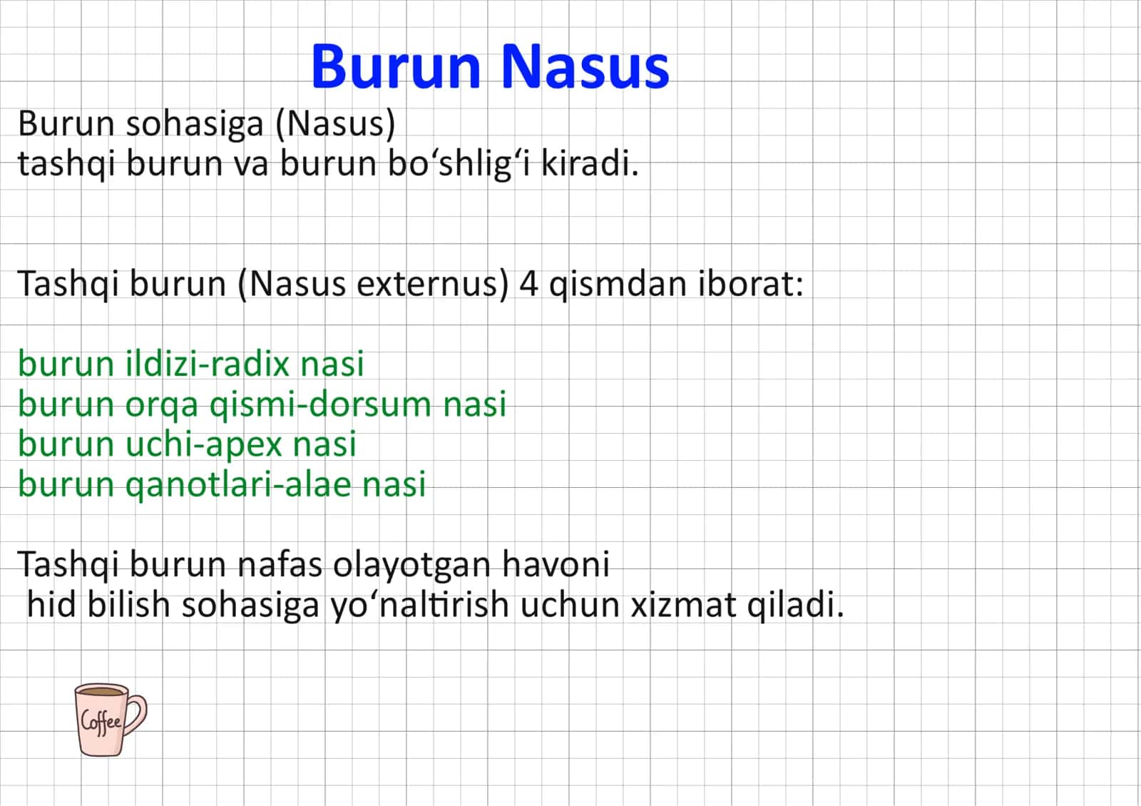 Nfas olish sistemasi, Burun, nasum. 2