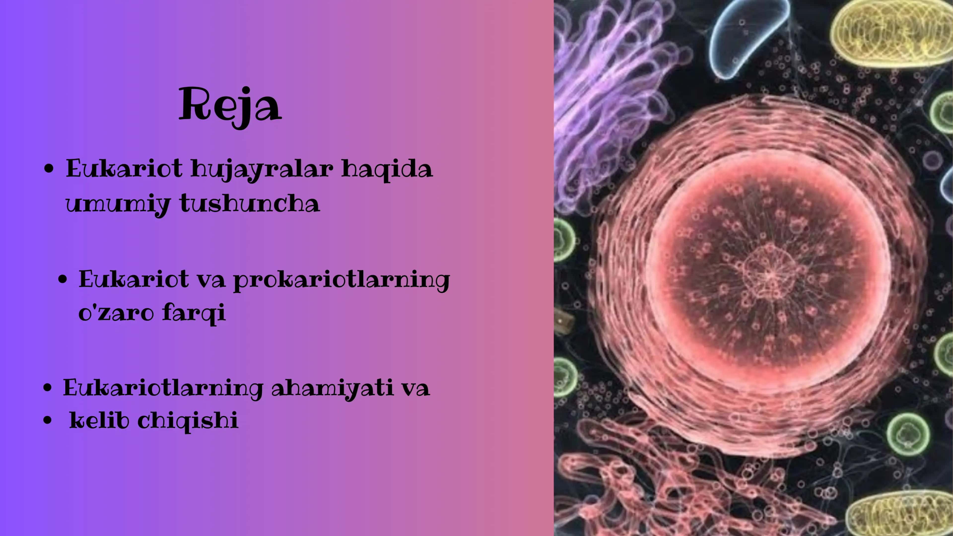 eukariot hujayralar 2