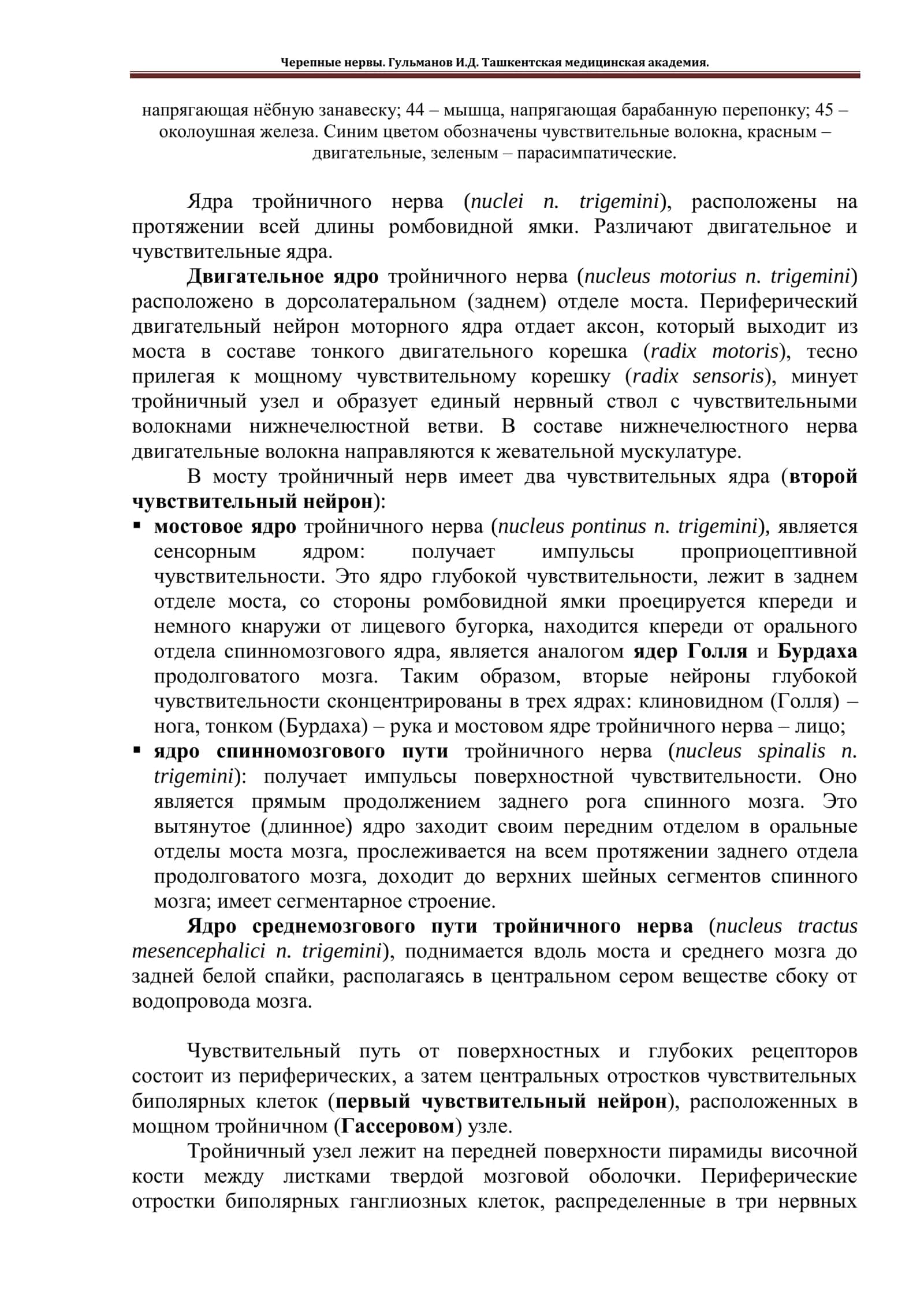 Черепные нервы 2
