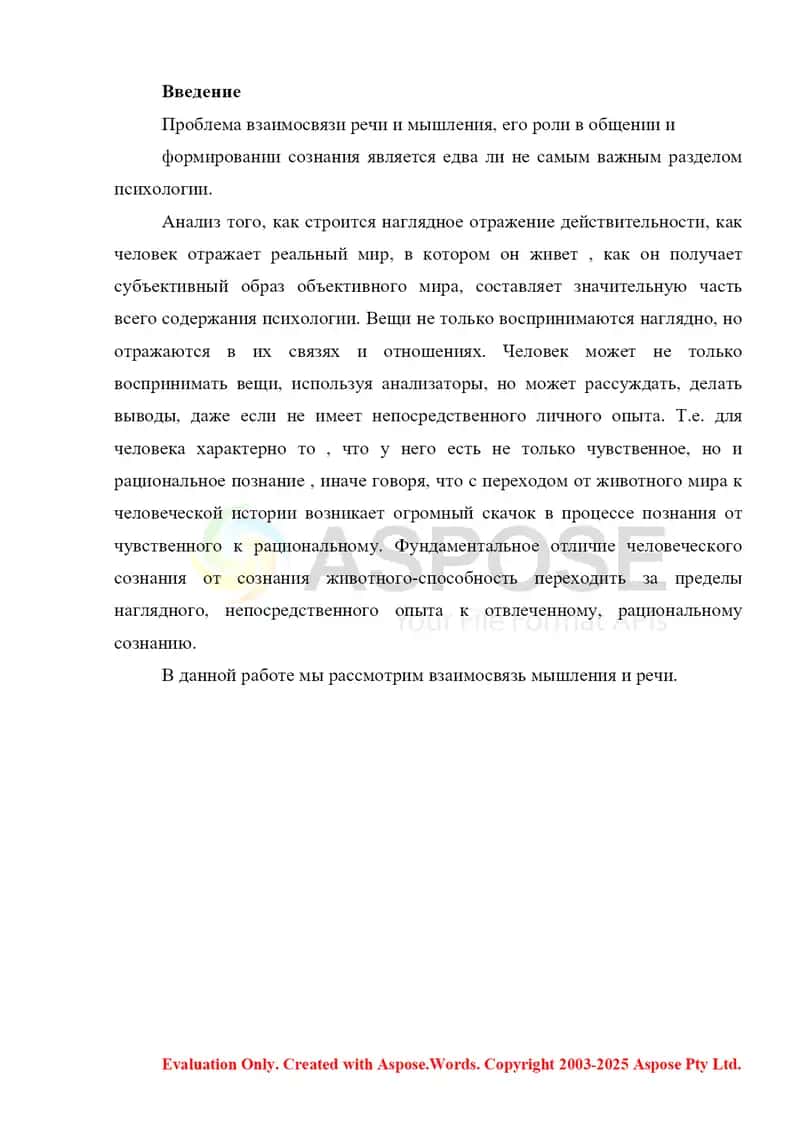 Мышление и общение 2