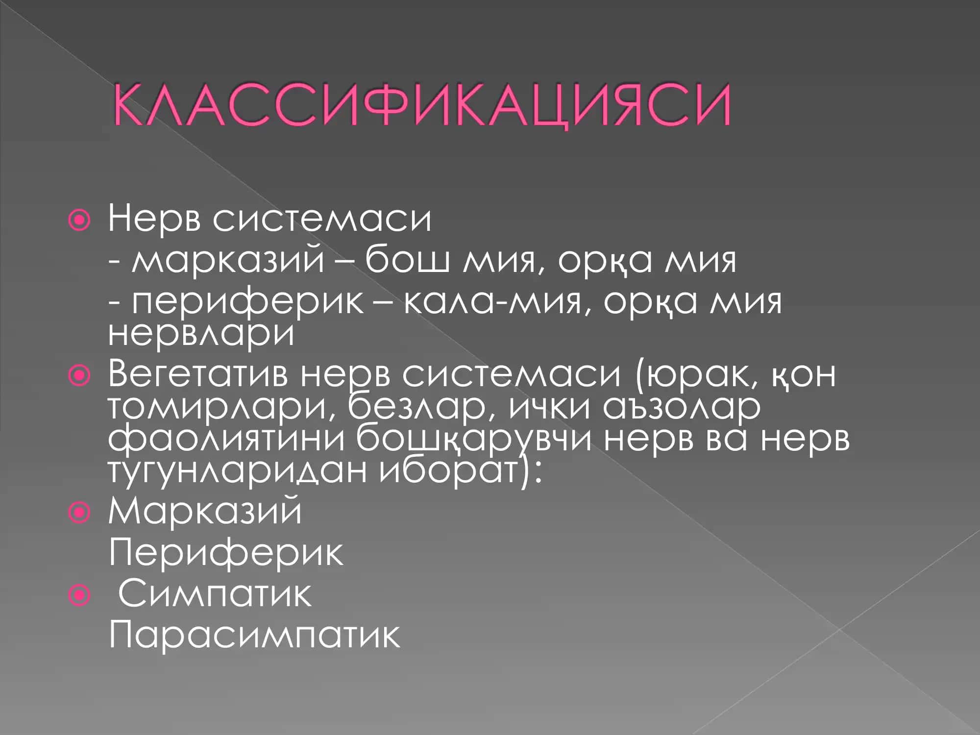 Нерв системаси 2