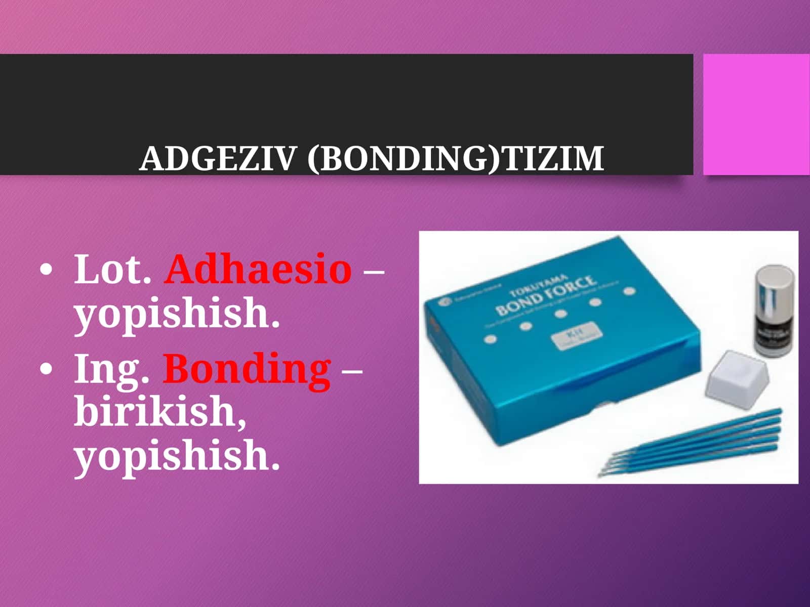 ADGEZIV TIZIM 2